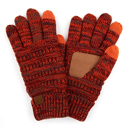 Multicolor Knit Fleece Lined Gloves by Funky Junque
