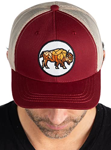 Buffalo Geometric Mesh Trucker Hat by Funky Junque