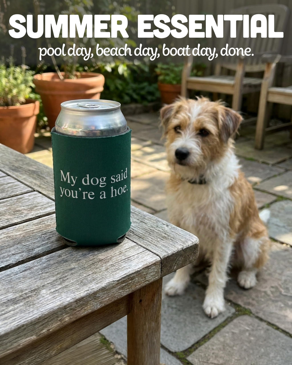Can Cooler Sleeve 12 oz - Sayings